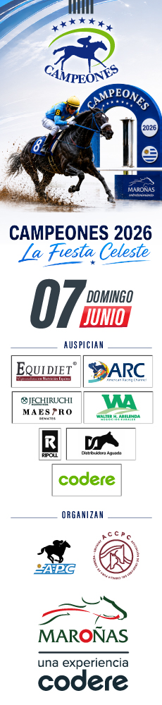 banner Pozos